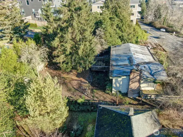 view of existing back yard