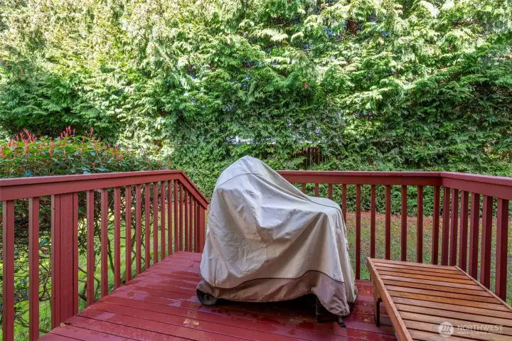 Deck with plenty of vegetation in back for privacy.