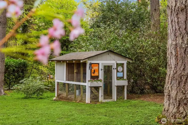 A nod to island living at its best—thoughtfully set up for those ready to embrace a more grounded, connected way of life.