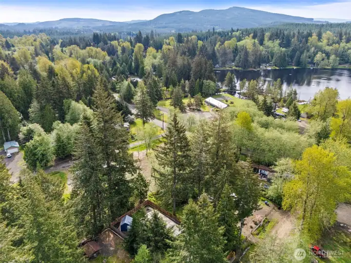 Aerial perspective showcasing surrounding trees and neighborhood