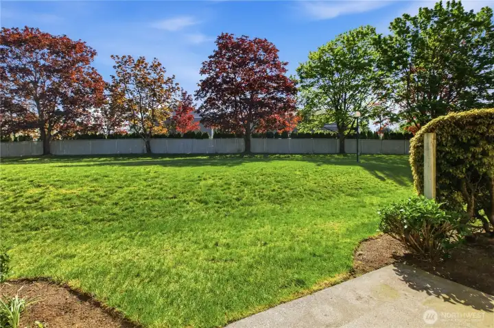 Grassy area right off your patio, situated in the morning sunshine