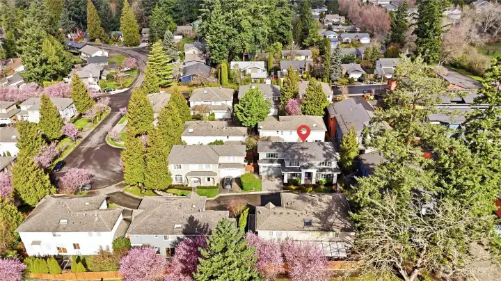 Cambria Community