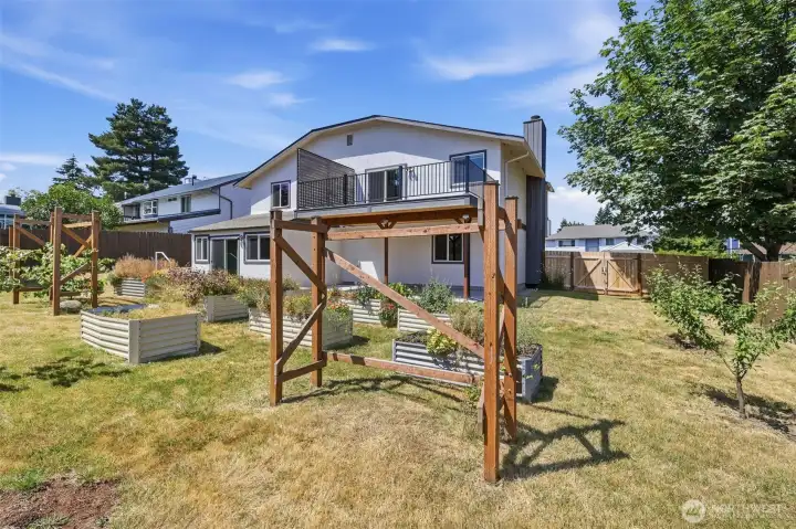 Fruit Trees and Garden Beds in Yard