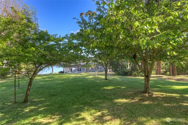 Lovely fully fenced yard.