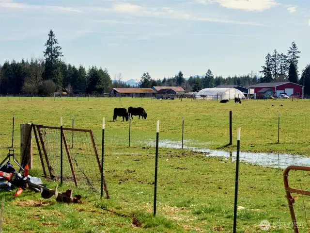Pasture w/Mtn views