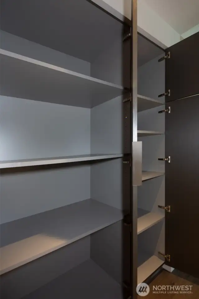 Extra Hallway built-in Storage