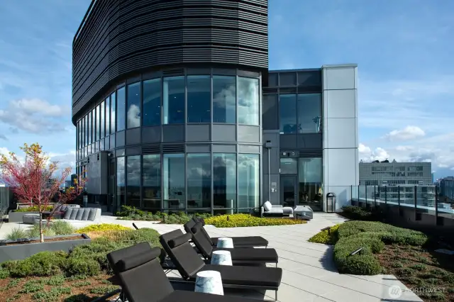 The top floors showing fitness and shared living amenities