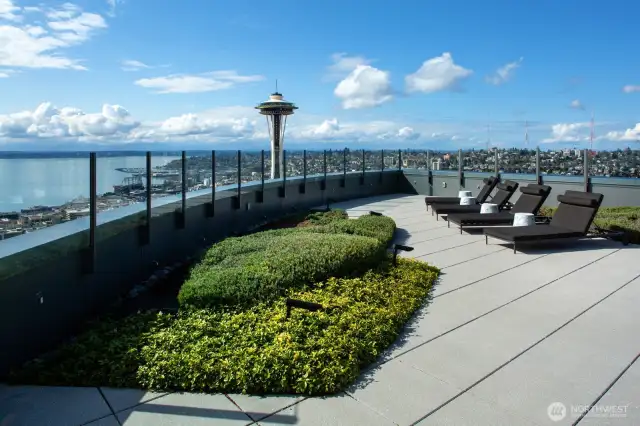Outdoor living shared space