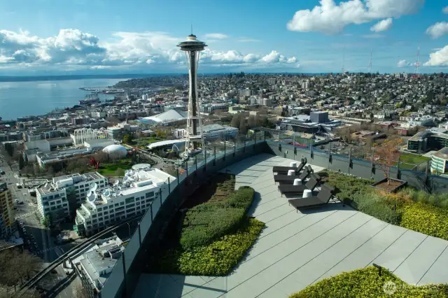 View from shared outdoor living space.