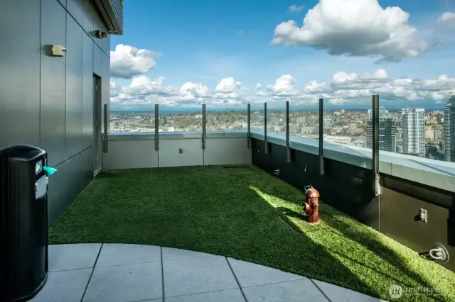 Doggie Duty area provided for owners.