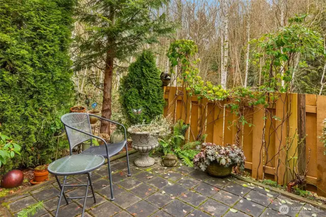 Room for a vegetable garden as well as entertaining space!