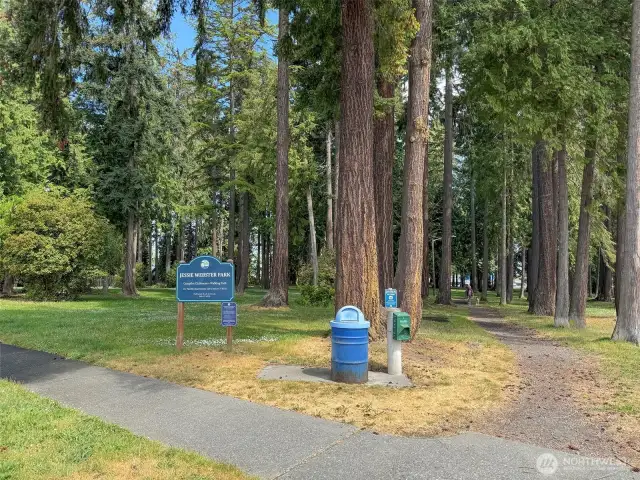Jessie Webster Park across the street
