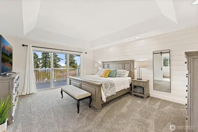 Main Floor Primary Bedroom