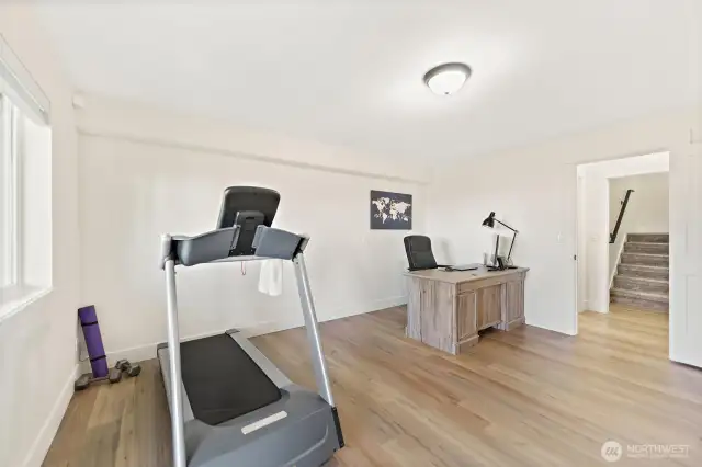 Lower Level Bonus Room