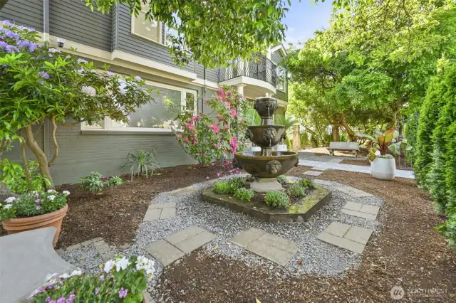 Front yard