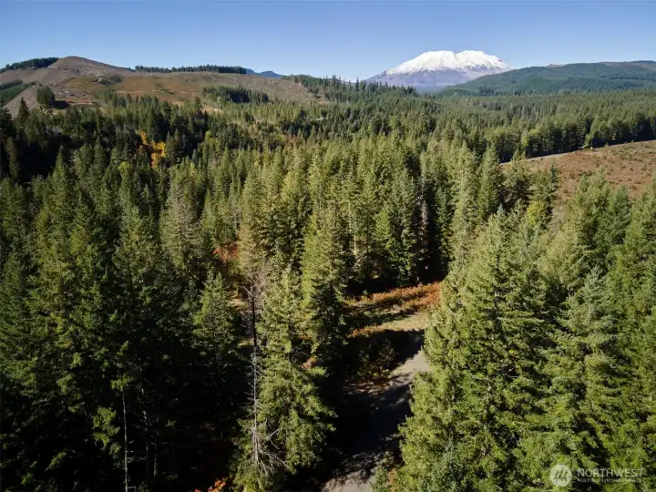 Mt. St. Helens in the back drop!