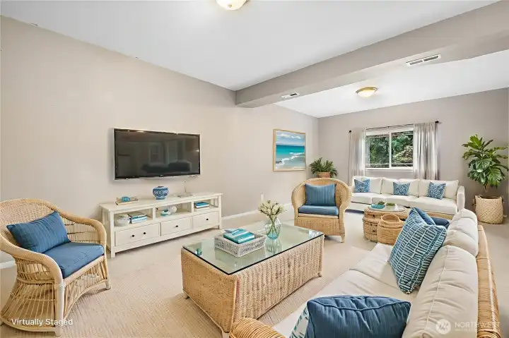 Lower level rec room