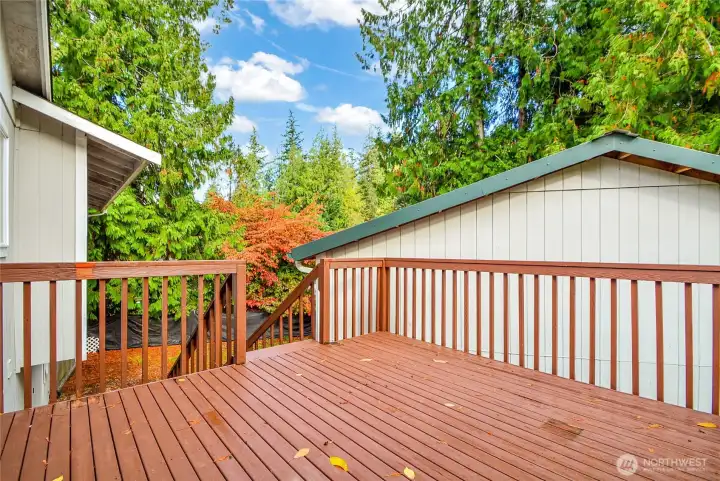 Freshly painted back deck