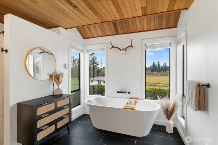 Main Bath w/spa like scenery