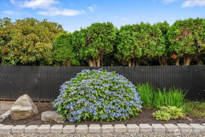 Gorgeous mature landscaping throughout property