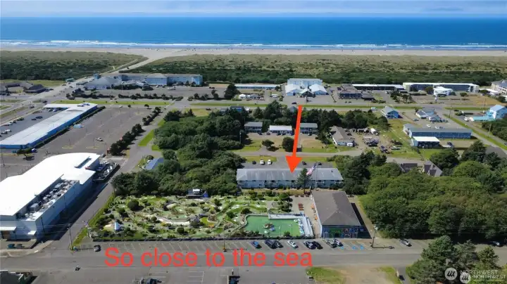 Welcome to Ocean Court!