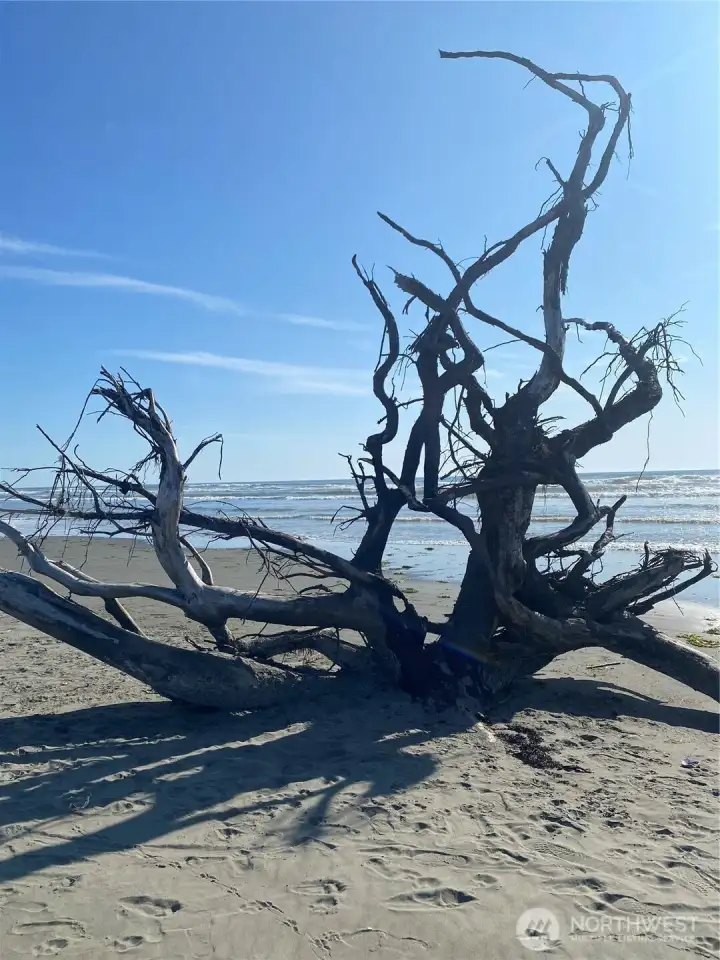 Some of the local scenery