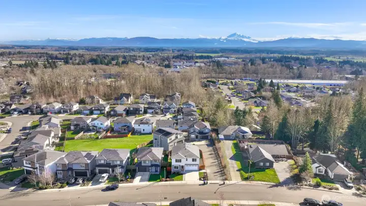 Beautiful Mt. Baker!