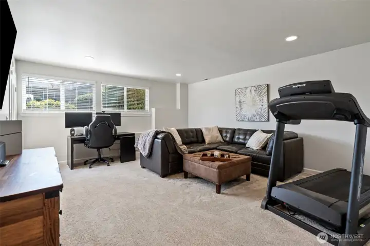 Lower level Bonus Room - well sized for a myriad of uses.  It also enjoys it's own exterior entrance.