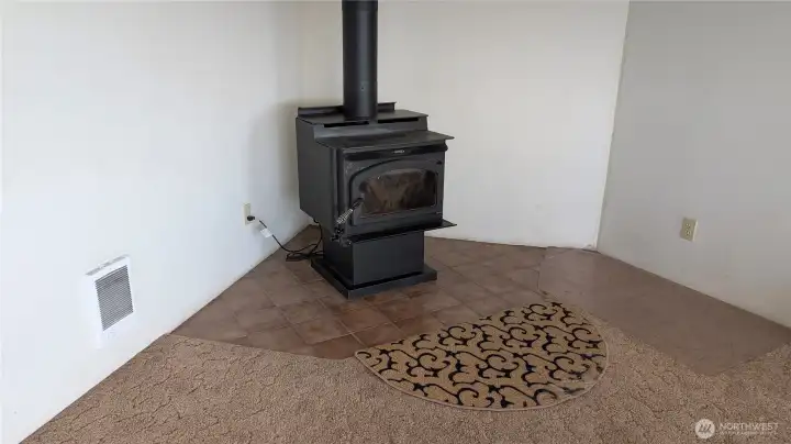 Wood Free Standing Stove in Living Room