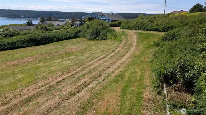 This is the driveway between the hedges and separates into two with the upper turn to the front of the house and the bottom to the back of the house.