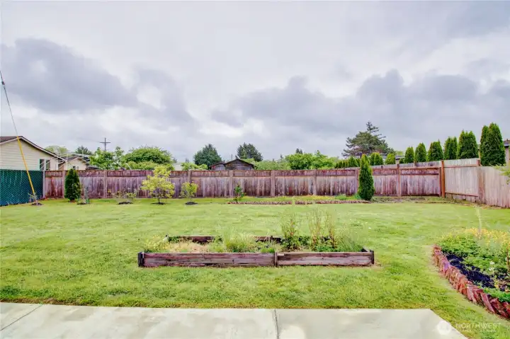Spacious sunny backyard.