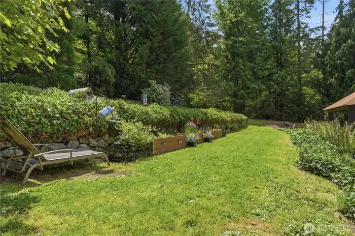 Upper yard next to the amazing rear deck space. Upper yard next to the amazing rear deck space.