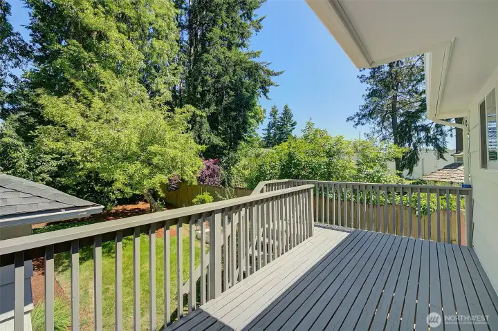 Back Deck Back Deck