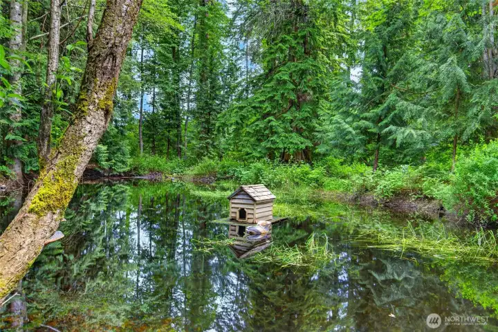 Private pond