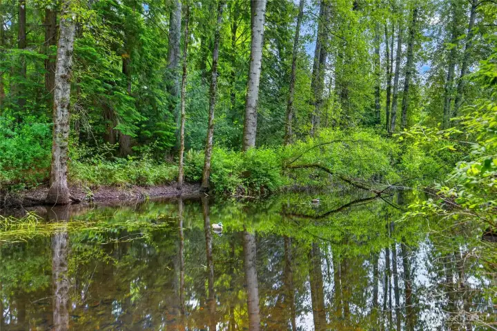 Private pond