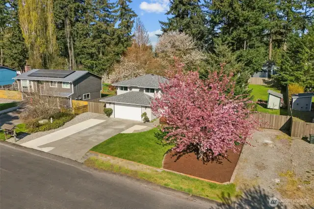 1/3 Acre, Fully Fenced, w/ Privacy and, Mature Landscaping, Play Gym, Chicken Coop, Raised Flower Beds, Bay Leaf and Plum Tree!
