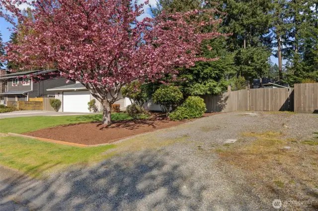 Double Gate leading to the Fully Fenced Backyard on the left (South) of the house. This driveway and double gate ARE part of THIS PROPERTY! Lot's of parking space here!