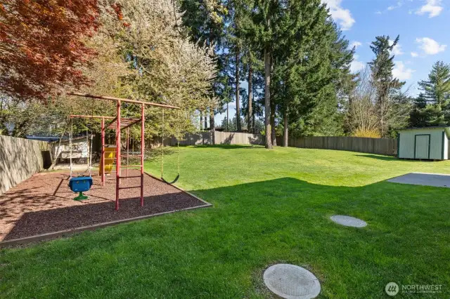 Such a beautiful yard, this grass REALLY DOES LOOK LIKE THIS! No photo shopping here!
