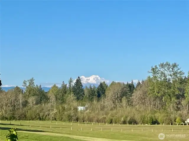 Mt. Rainier from the Deck