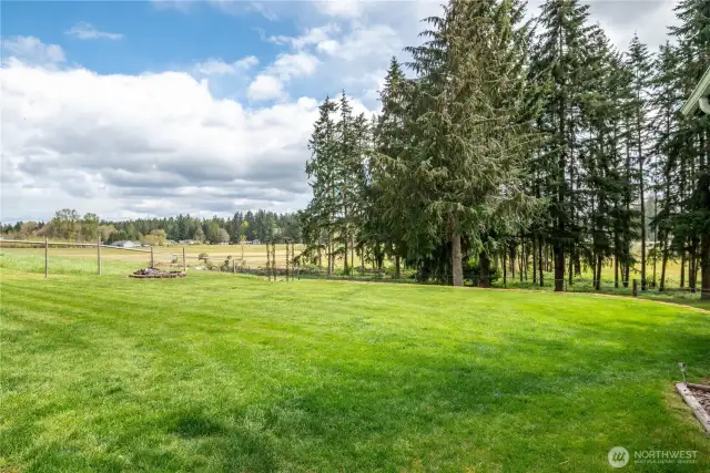 Gorgeous back yard