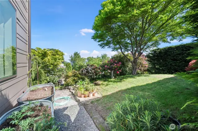 . . or garden . .