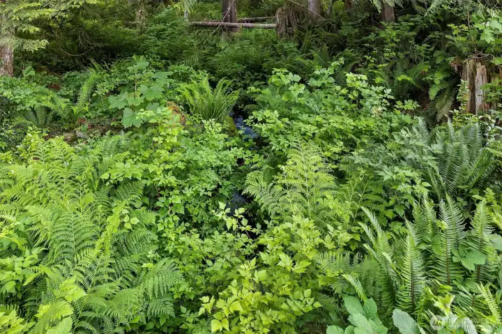 Wooded creak with a 5' waterfall runs along the easter side of the property.  This is a natural spring that, in the past, supplied water to the Harmon Heights families.