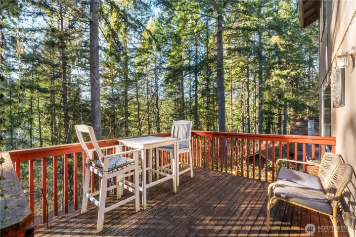 Enjoy your meals outside and enjoy the lake view through the trees