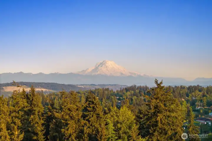 Mt. Rainier