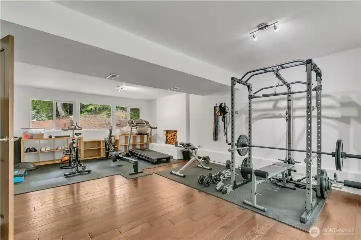 Create your ideal retreat in the lower level space. This is perfect for workouts, flex space, hobbies or whatever fits your lifestyle.