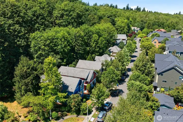 One of the original homes in New Rainier Vista with mature landscaping, tree-lined streets, and green space to the west. One of the original homes in New Rainier Vista with mature landscaping, tree-lined streets, and green space to the west.