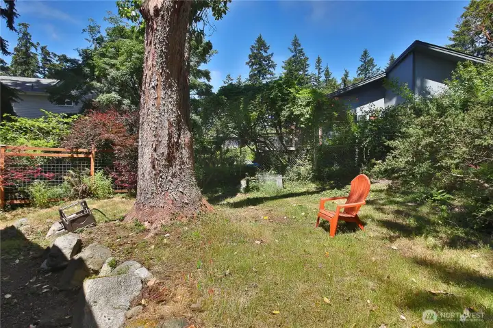 Room for gardening, pets, or play.