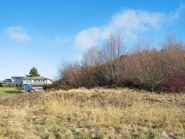 Photo taken from Buck Rd looking back at property, sloping slightly uphill