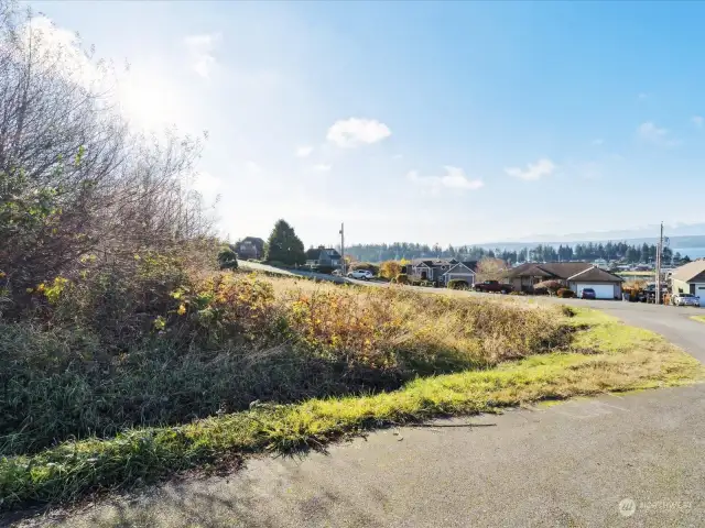 See red parcel lines in previous photos showing what part of this corner in the culdesac goes with the property