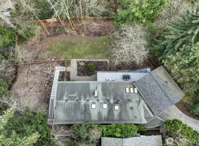 Huge backyard with fruit trees and fully fenced area.